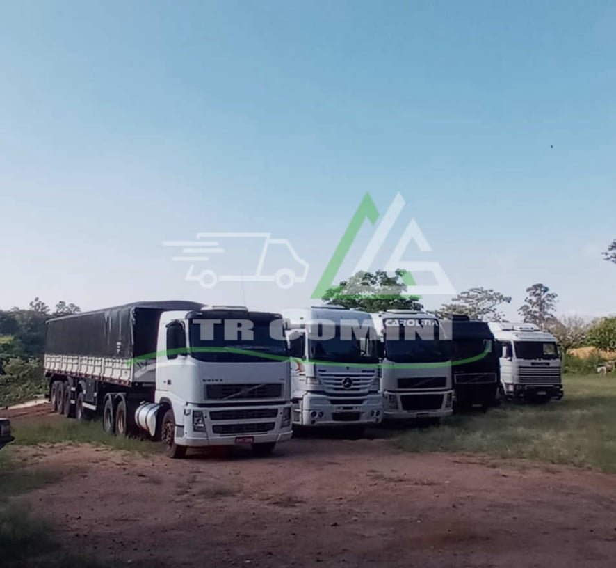 Galeria de fotos da frota TR Comini 1